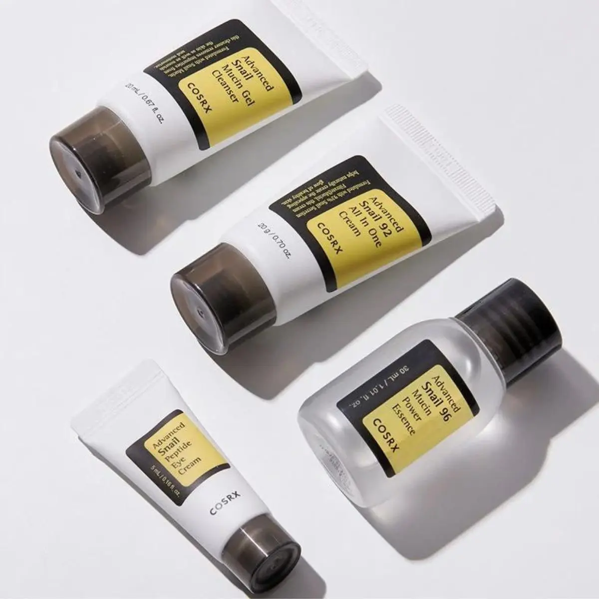 All About Snail Kit - Image 3