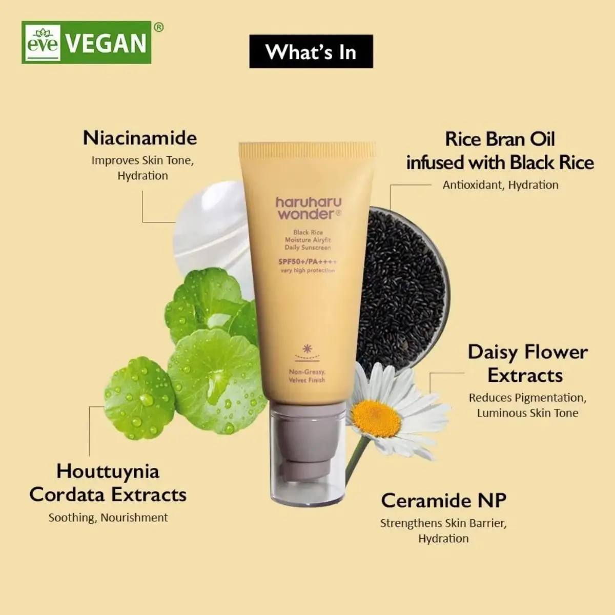 Black Rice Moisture Airyfit Daily Sunscreen 50mL - Image 3