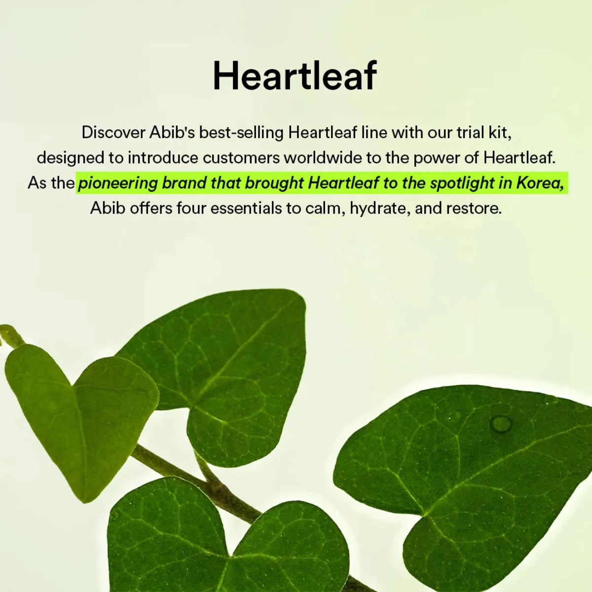 Heartleaf Calming Trial Kit - Image 3