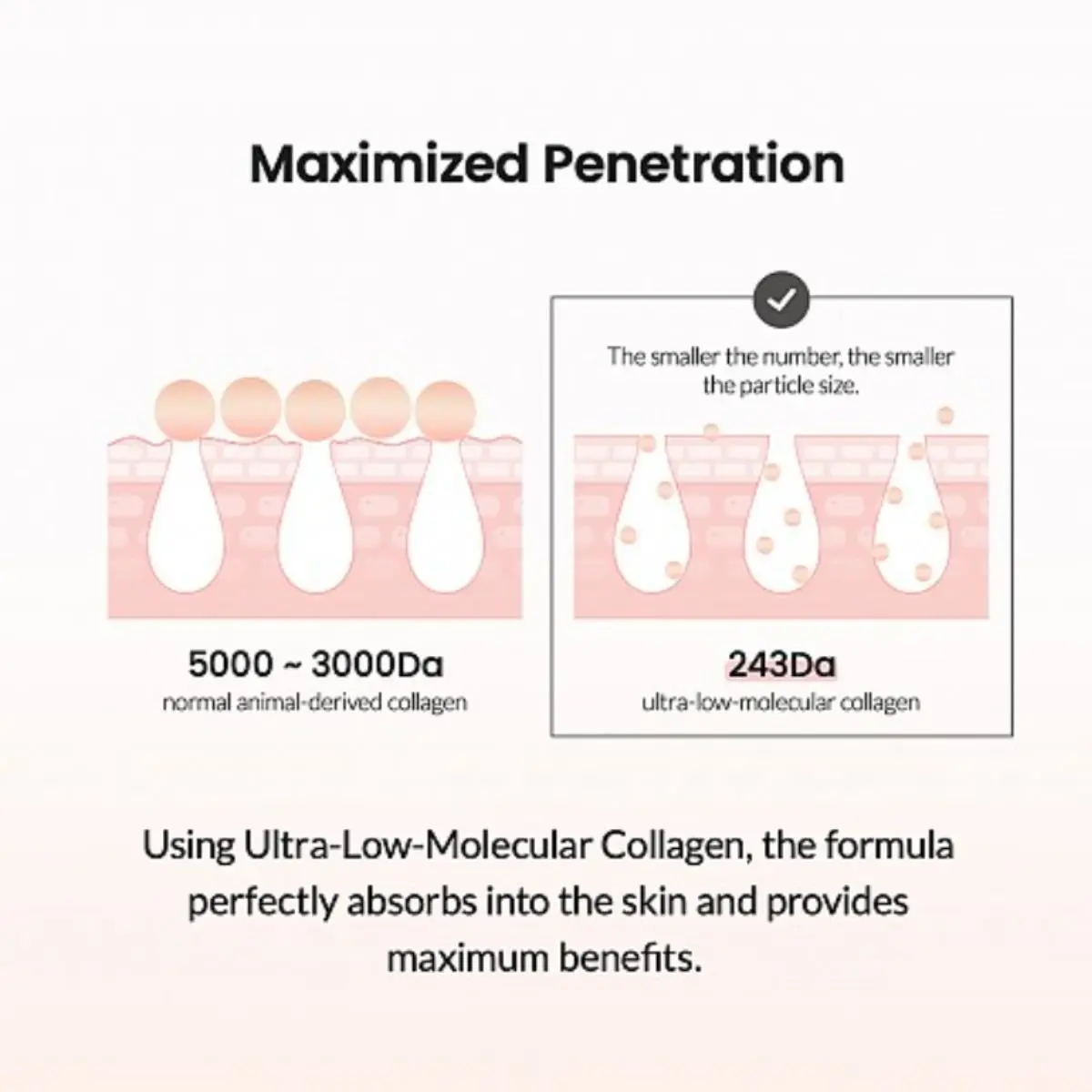 Pore Tightening Collagen Ampoule 50mL - Image 5